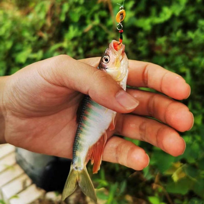 Dovesun Fly Fishing Lures Fly Fishing Flies Wet Fishing Flies Fishing Lures Fishing Spinner for Bass Sunfish Pike Trout 5PCS/10PCS - Image 5